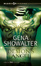 Cover of Demon's Angel