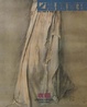 局部真理/衣褶