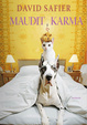 Cover of Maudit karma