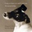 Cover of If Only You Knew How Much I Smell You