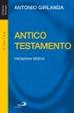 Cover of Antico Testamento