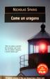 Cover of Come un uragano