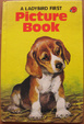 Cover of A Ladybird First Picture Book