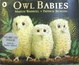 Cover of Owl Babies