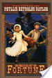 Cover of Emily's Fortune