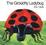 Cover of "The Grouchy Ladybug Board Book"