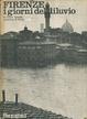 Cover of Firenze i giorni del diluvio