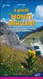 Cover of A piedi sui monti Sibilini