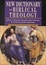 Cover of "New Dictionary of Biblical Theology"