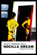 Cover of Nocilla Dream