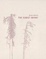 Cover of The Cubist Infant