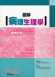 Cover of 圖解病理生理學