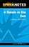 Cover of "Spark Notes A Raisin in the Sun"