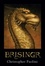 Cover of "Brisingr"