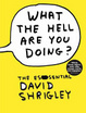 Cover of What the Hell Are You Doing?