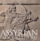Cover of Assyrian palace sculptures