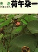 Cover of 一朵午荷
