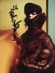 Cover of Immune