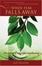 Cover of "When Fear Falls Away"