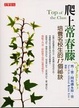 Cover of 爬上常春藤