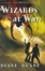 Cover of "Wizards at War"