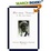 Cover of Mother Teresa