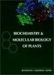 Cover of Biochemistry & Molecular Biology of Plants