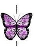 Cover of Papillon