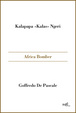 Cover of Africa bomber
