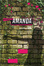 Cover of Invisible