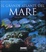 Cover of "Il grande atlante del mare"
