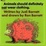 Cover of Animals Should Definitely Not Wear Clothing