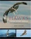 Cover of Hawks from Every Angle