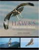 Cover of Hawks from Every Angle