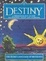 Cover of "The Secret Language of Destiny"
