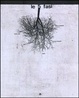 Cover of Le 5 fasi