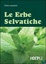 Cover of Guida alle erbe selvatiche