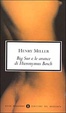 Cover of Big Sur e le arance di Hieronymus Bosch
