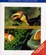 Cover of Unity & Diversity of Life