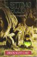 Cover of Il settimo figlio