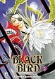 Cover of Black Bird vol. 11