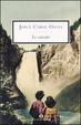 Cover of Le cascate