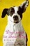 Cover of Dogs Never Lie About Love