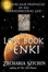 Cover of 'The Lost Book of Enki'
