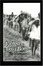Cover of The Journey of the Lost Boys
