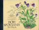 Cover of Guida pratica ai fiori spontanei in Italia