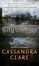 Cover of 'City of Ashes'
