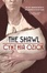 Cover of 'The Shawl'