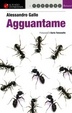 Cover of Agguantame