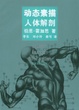 Cover of 动态素描·人体解剖